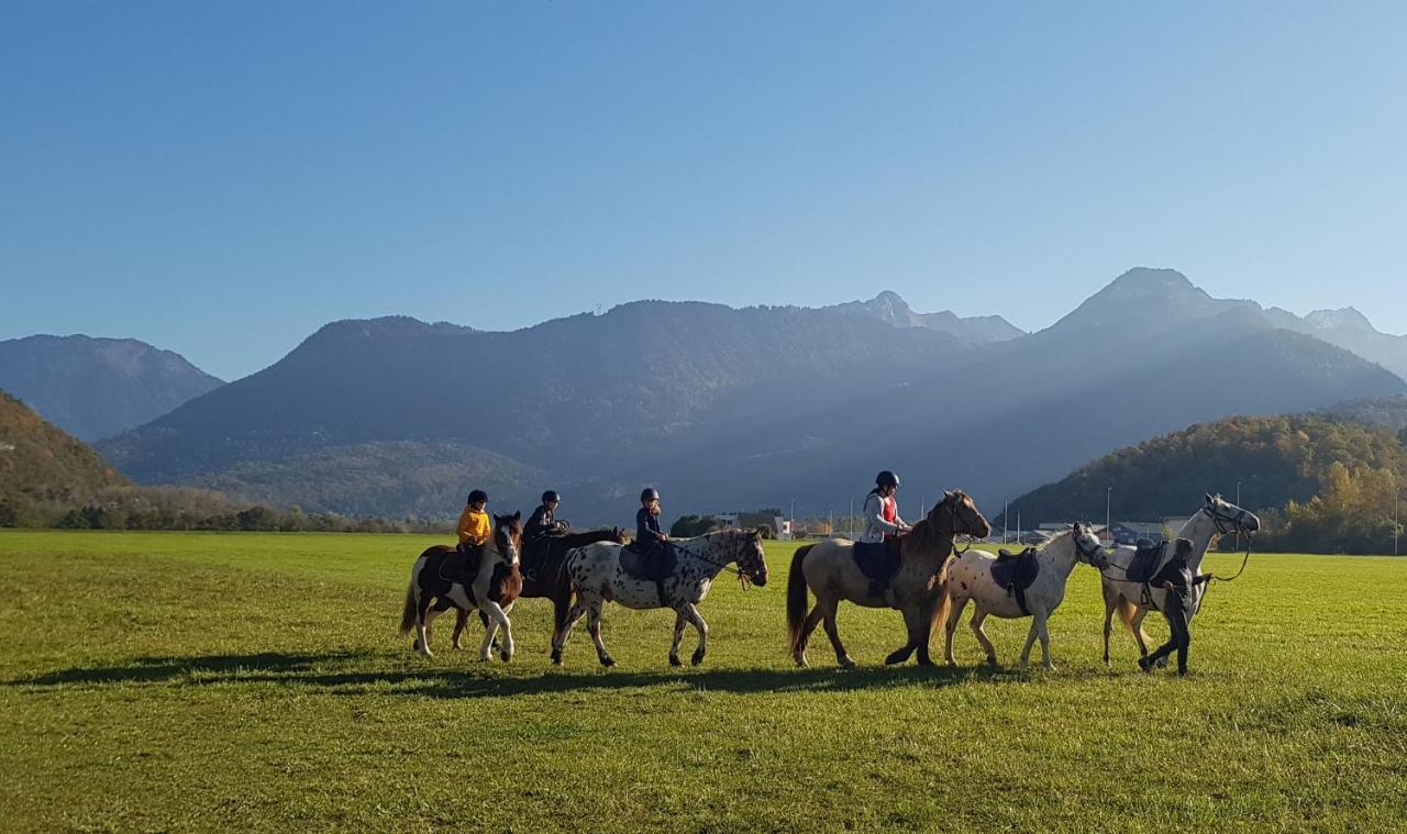 Manou Du Lac Annecy ドゥサール エクステリア 写真